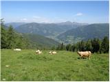 Bad Kleinkirchheim - Wöllaner Nock